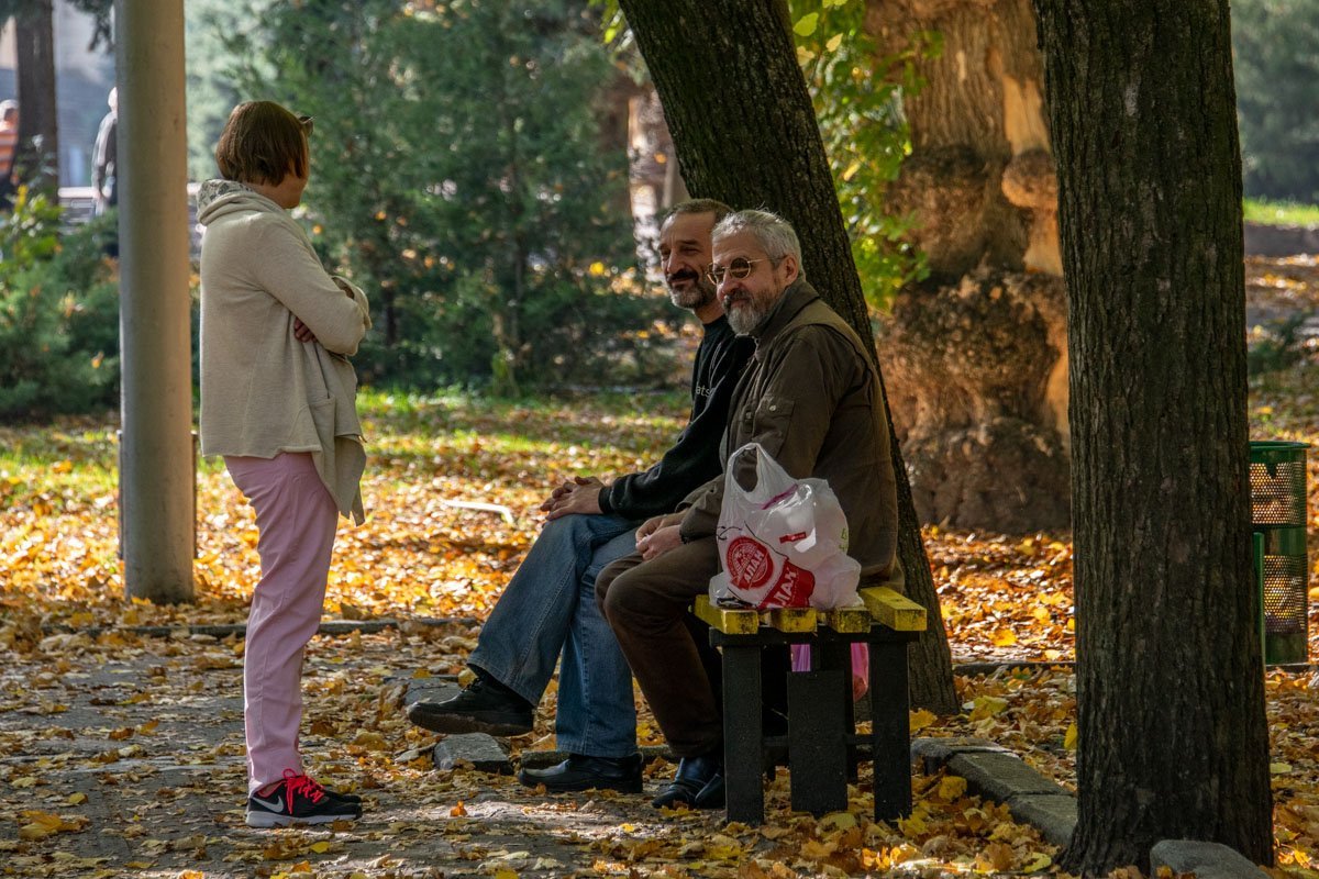 Все стремится к солнышку Все стремится к солнышку