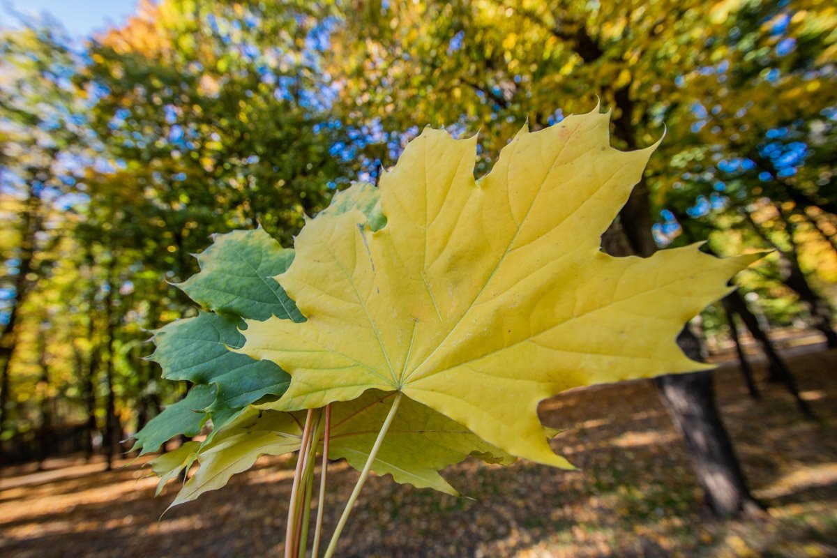 Умейте видеть прекрасное Умейте видеть прекрасное