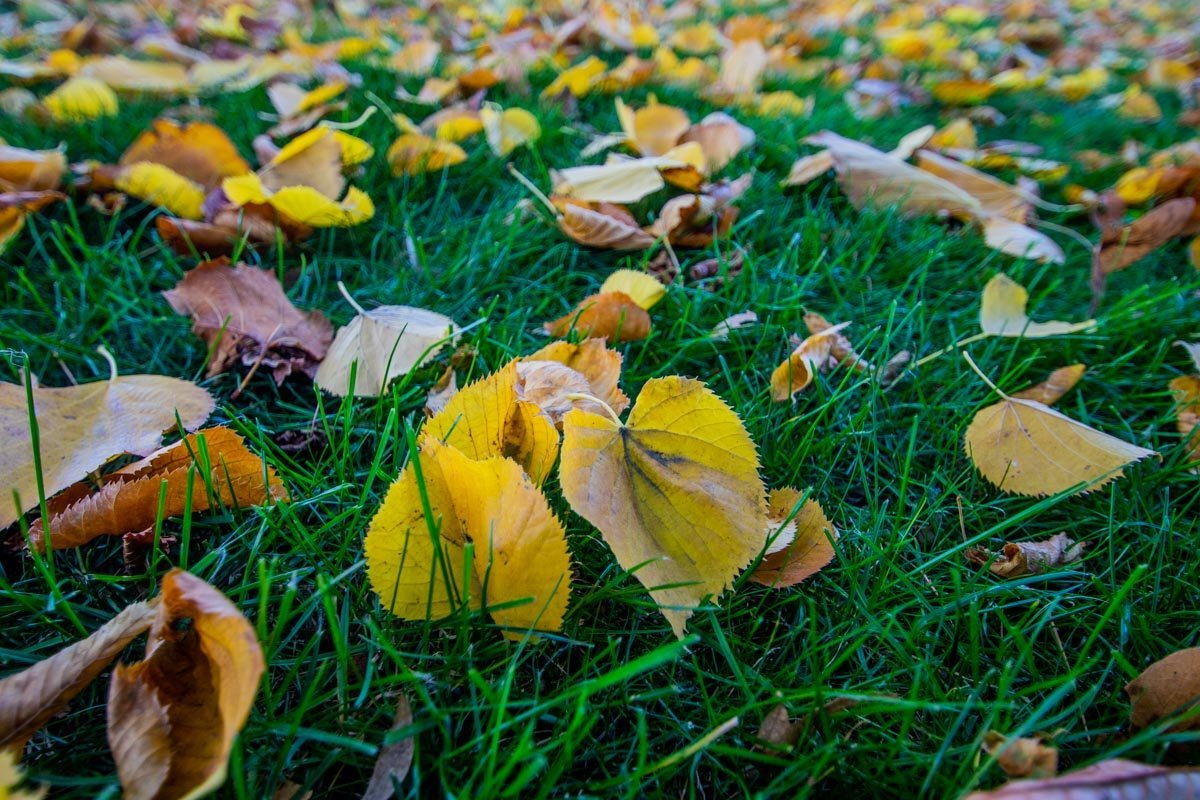 Лето, подожди еще чуть-чуть Лето, подожди еще чуть-чуть