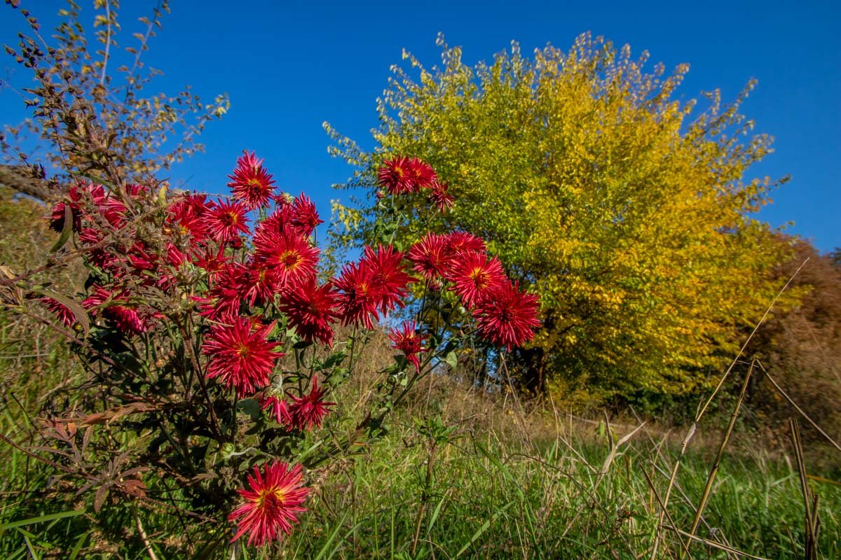 Осень пахнет хорошим настроением Осень пахнет хорошим настроением