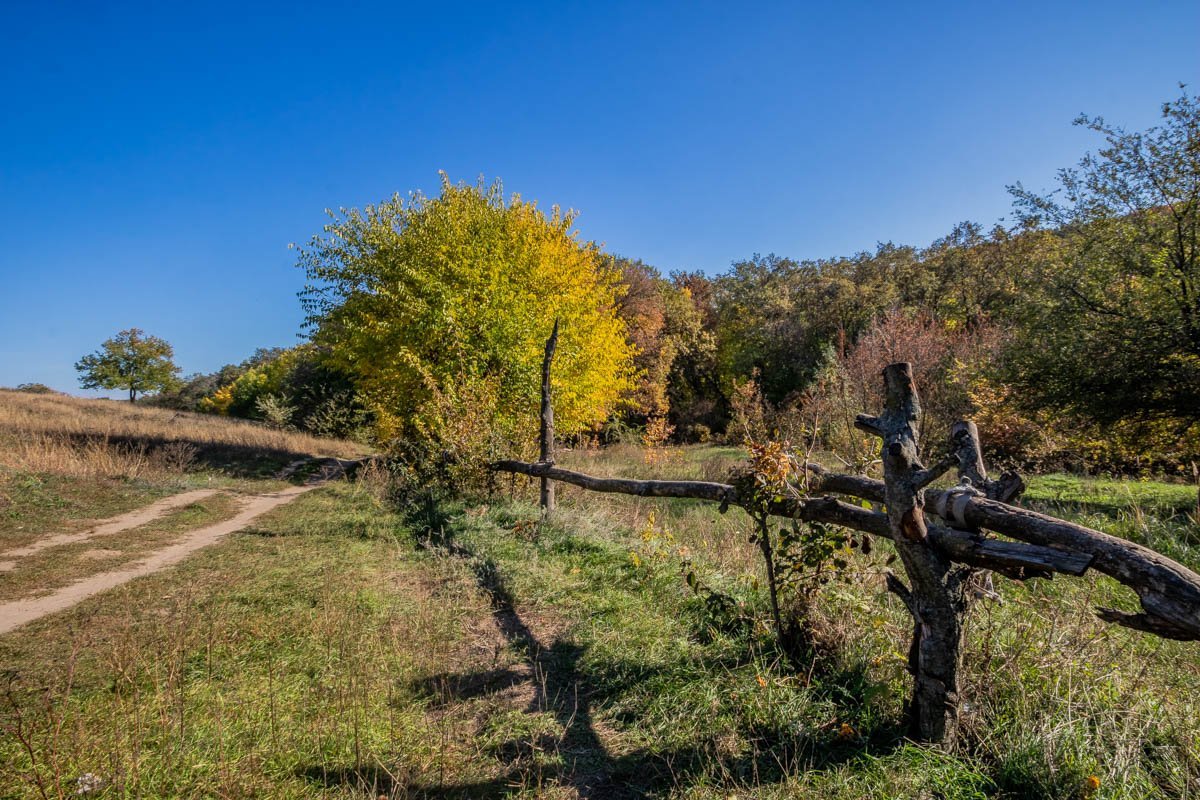 Самое время достать из гаража велосипед Самое время достать из гаража велосипед