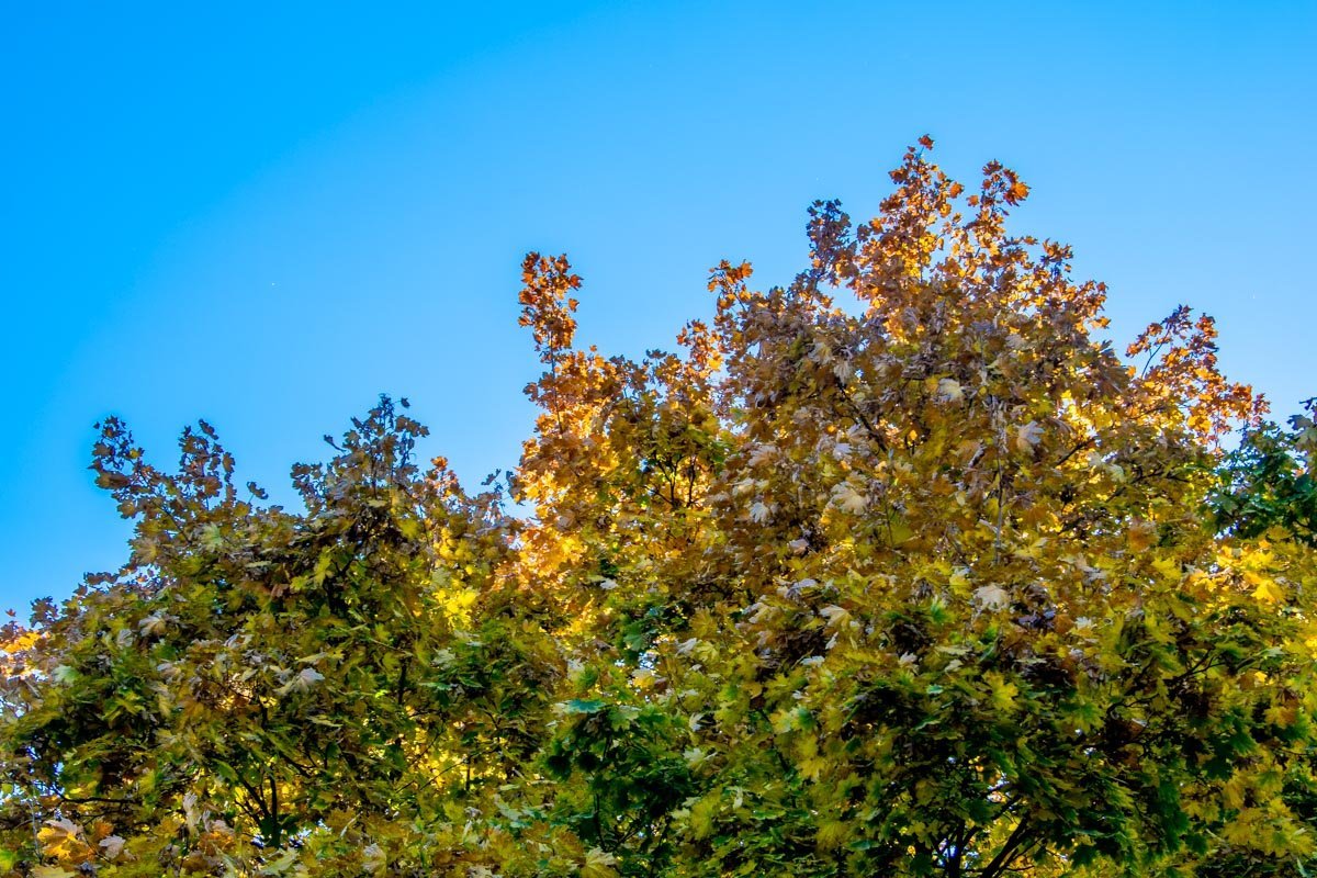 Наслаждайтесь Наслаждайтесь