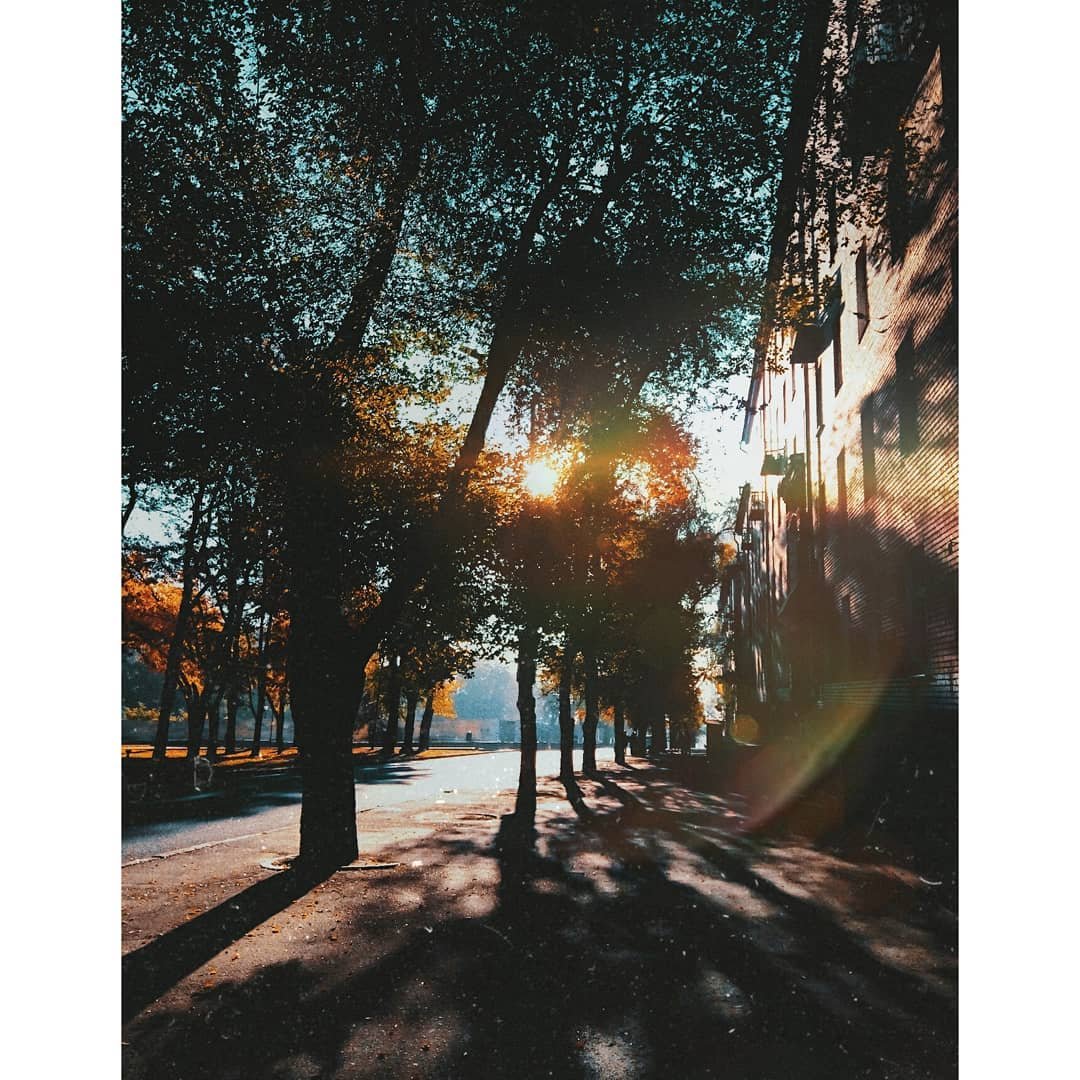 Мягкие лучи осени. Фото: isdatalex