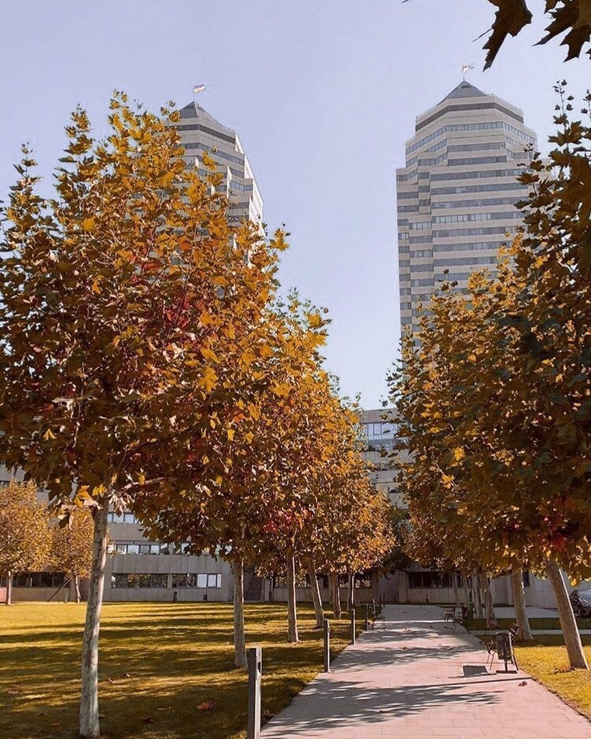 Днепр облачился в золотые краски. Фото: anya_shpak1