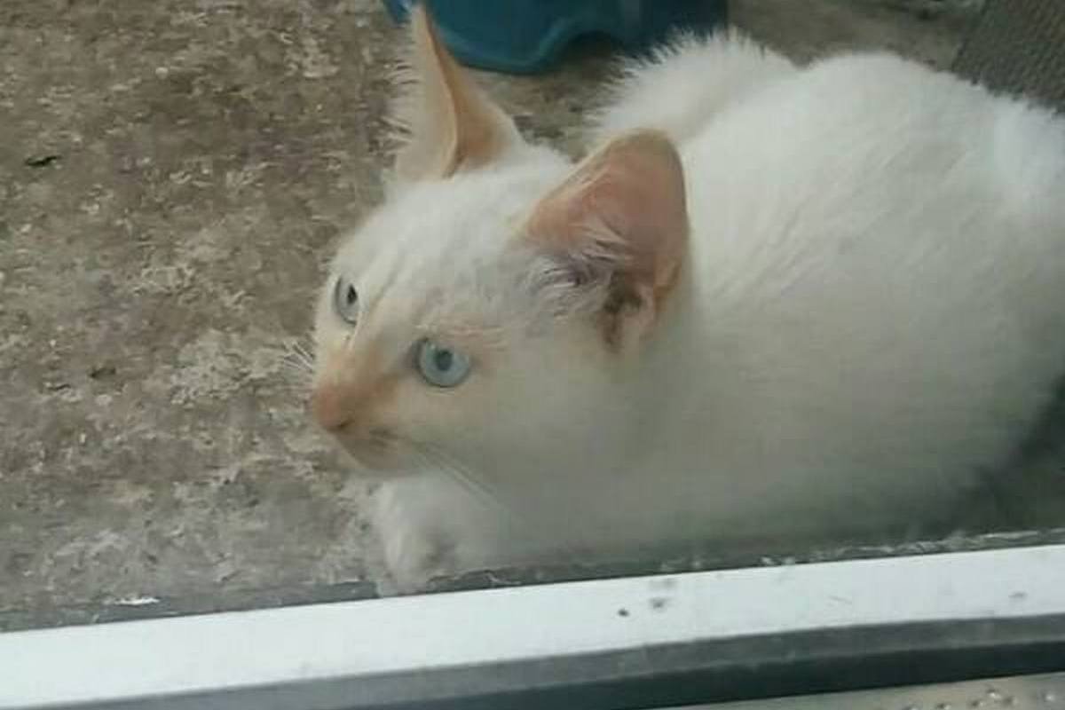 Уничтожит каждого, кто будет трепать вам нервы Уничтожит каждого, кто будет трепать вам нервы