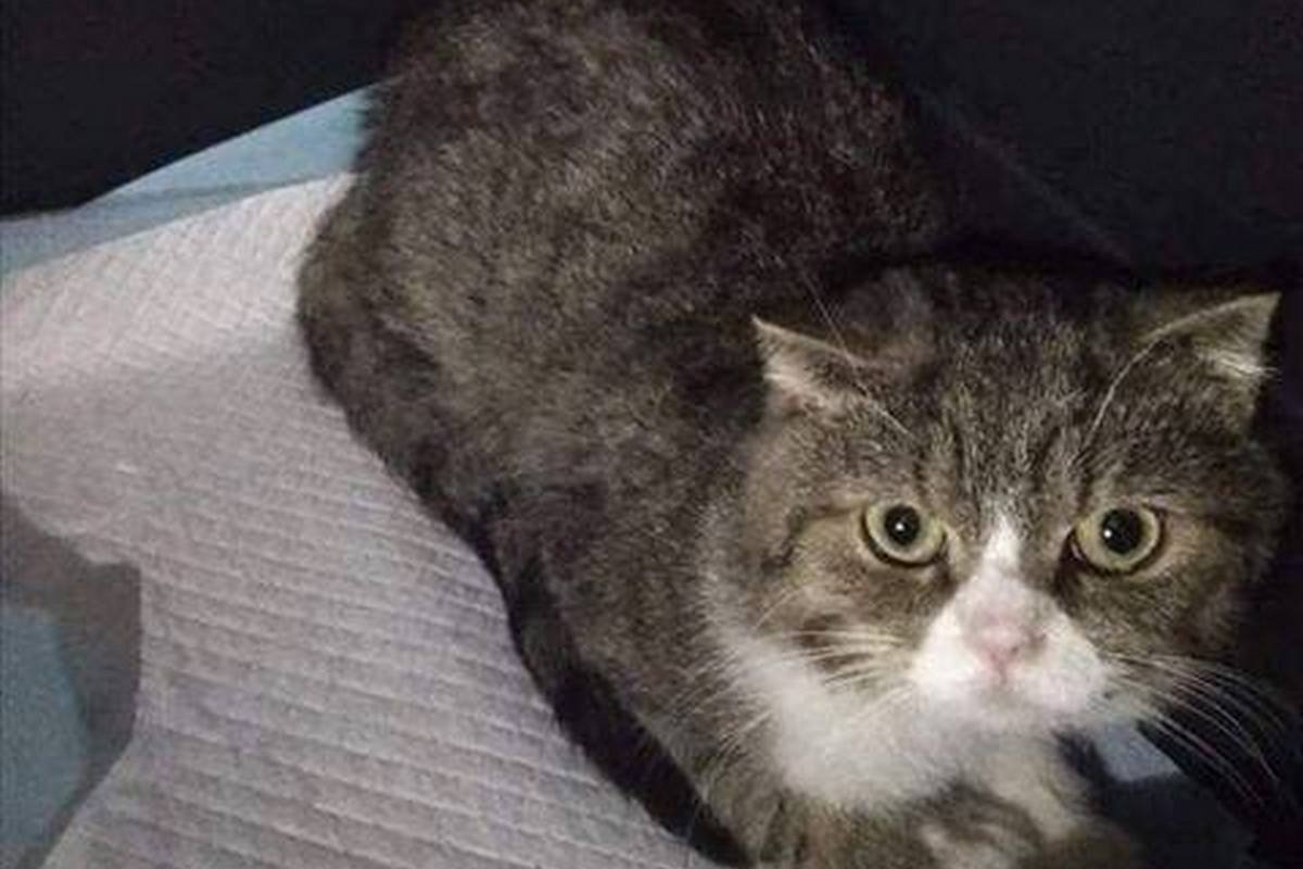 Сложно понять, что в головах у людей, которые выставили это чудо на улицу Сложно понять, что в головах у людей, которые выставили это чудо на улицу