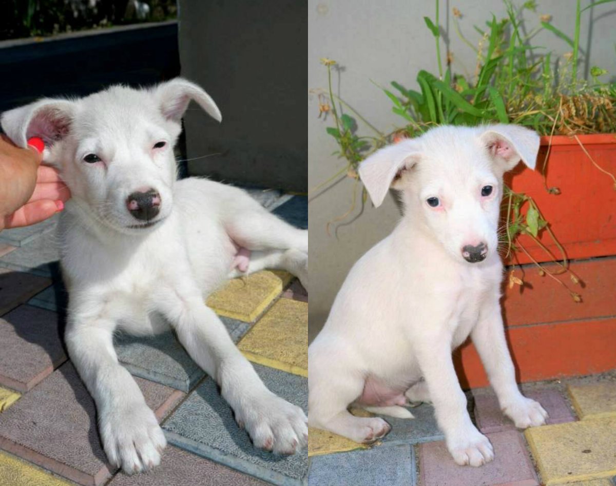 И сами не заметите, как этот смазливый парень станет вашим лучшим другом И сами не заметите, как этот смазливый парень станет вашим лучшим другом