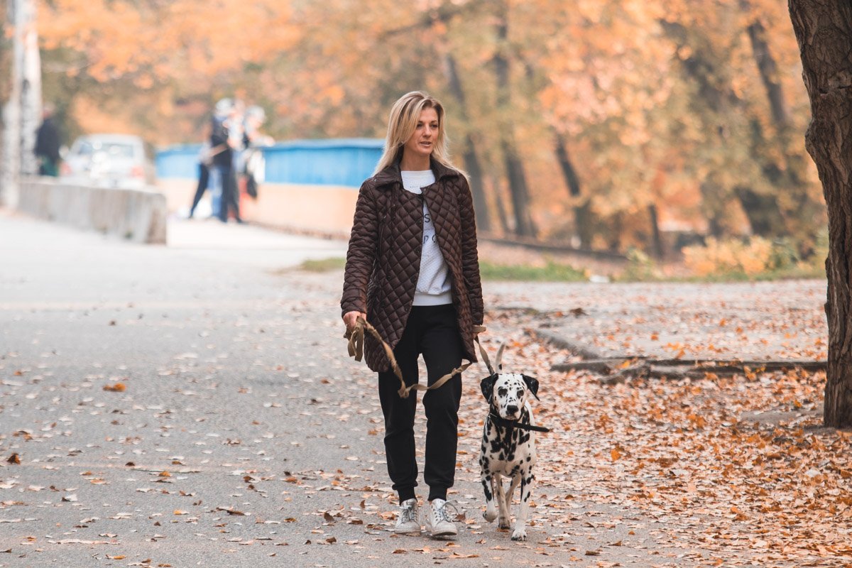 (это из мультика про 101-го далматинца, если что)