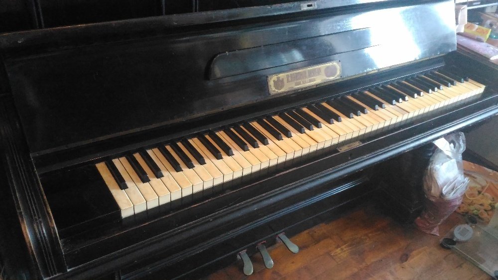 Если спасли уши от медведя Если спасли уши от медведя