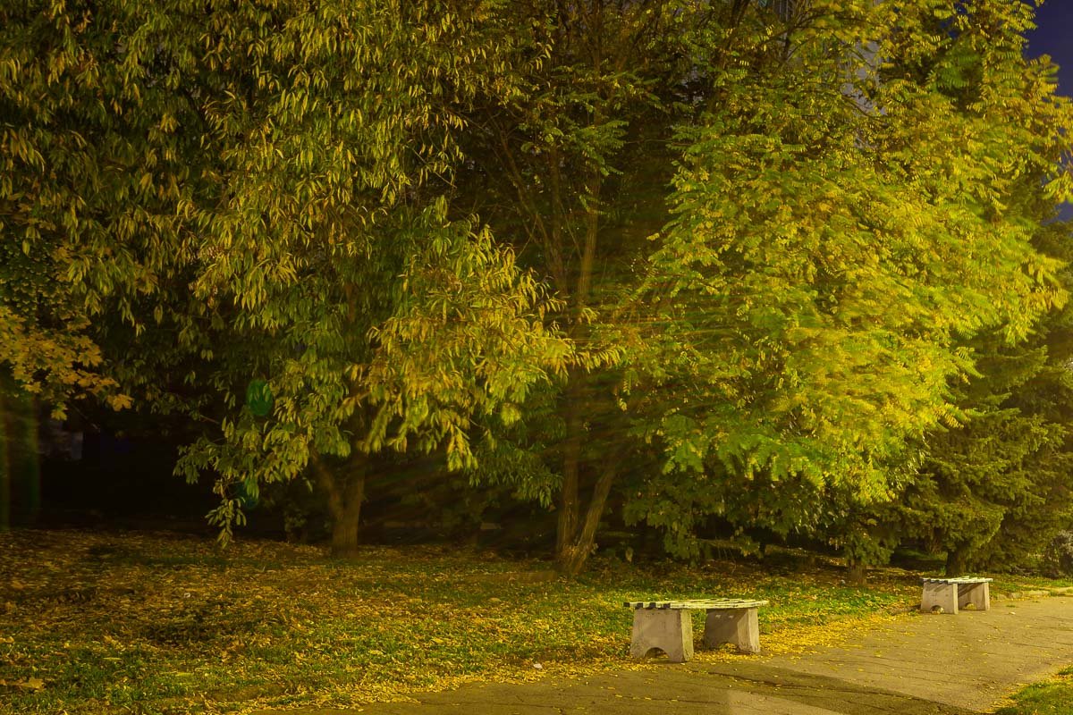 Движение листвы