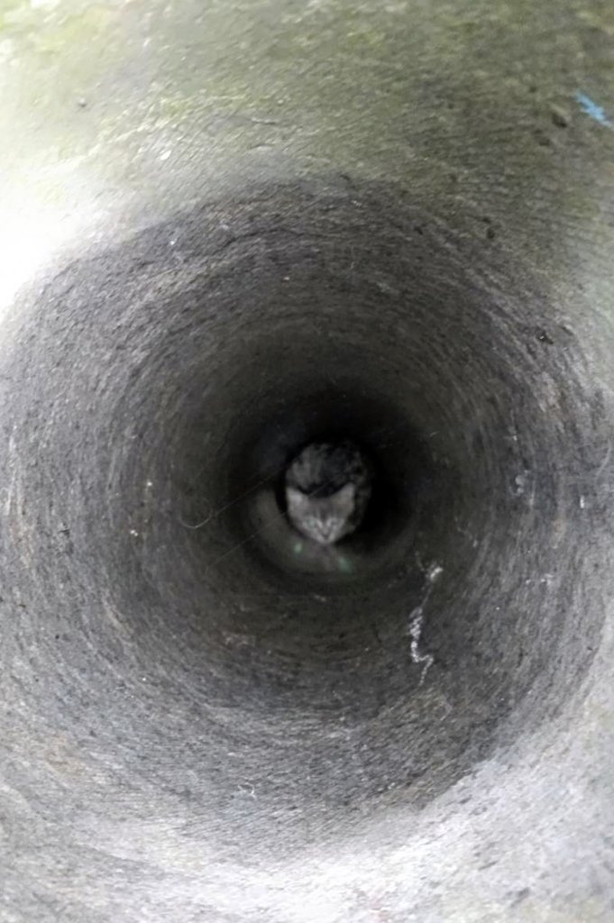 Котенок застрял в вентиляционной трубе погреба Котенок застрял в вентиляционной трубе погреба