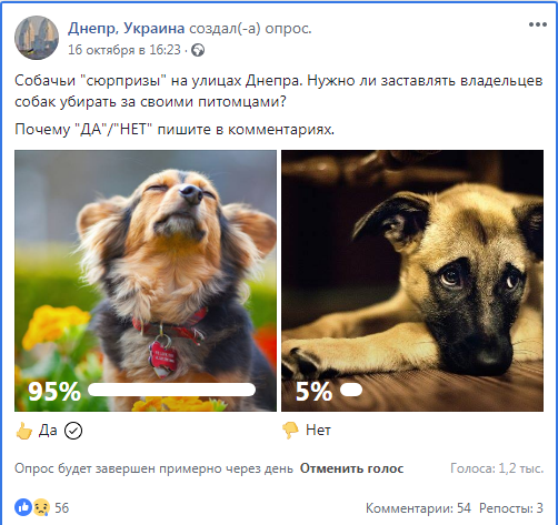 Что думают в Днепре: нужно ли заставлять владельцев собак убирать за своими питомцами 3
