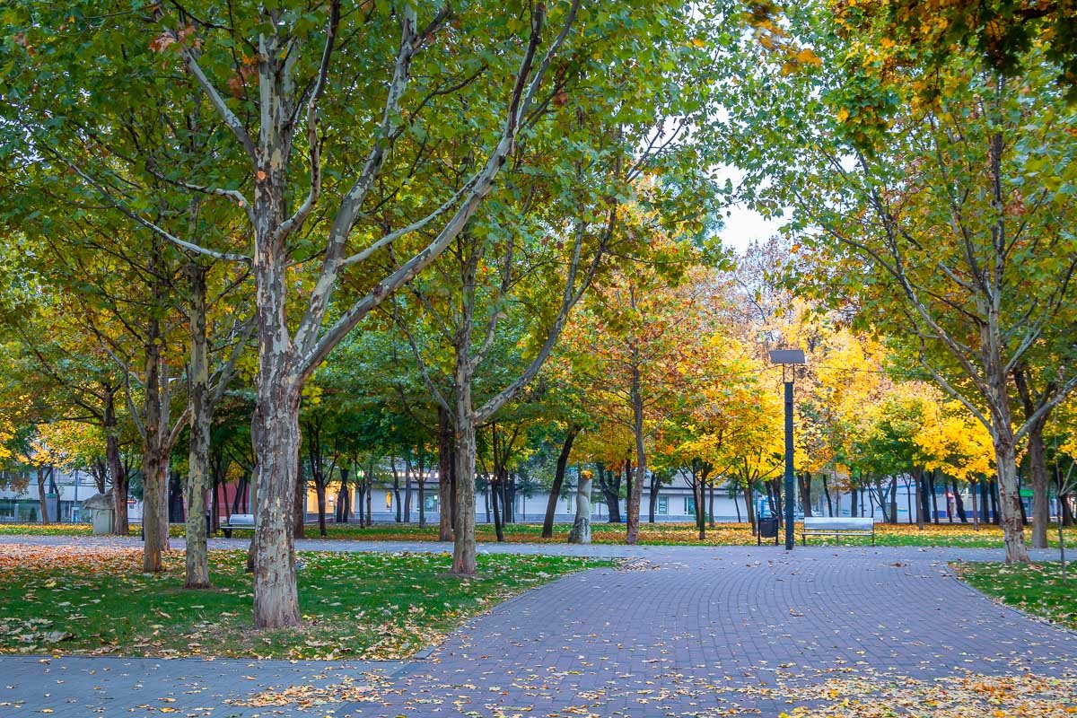 Цвет настроения осень Цвет настроения осень