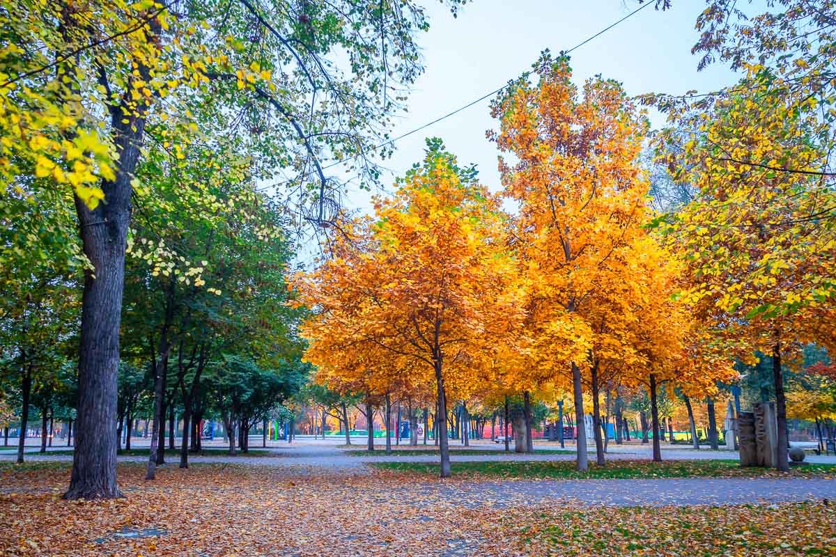 Идеальное место для пробежек Идеальное место для пробежек