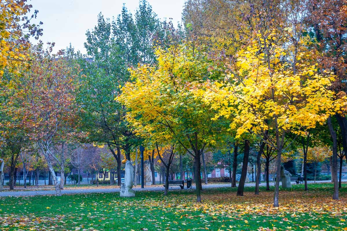 Фото Владислава Лестева Фото Владислава Лестева