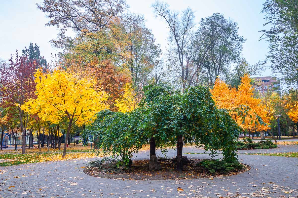 Фото Владислава Лестева Фото Владислава Лестева