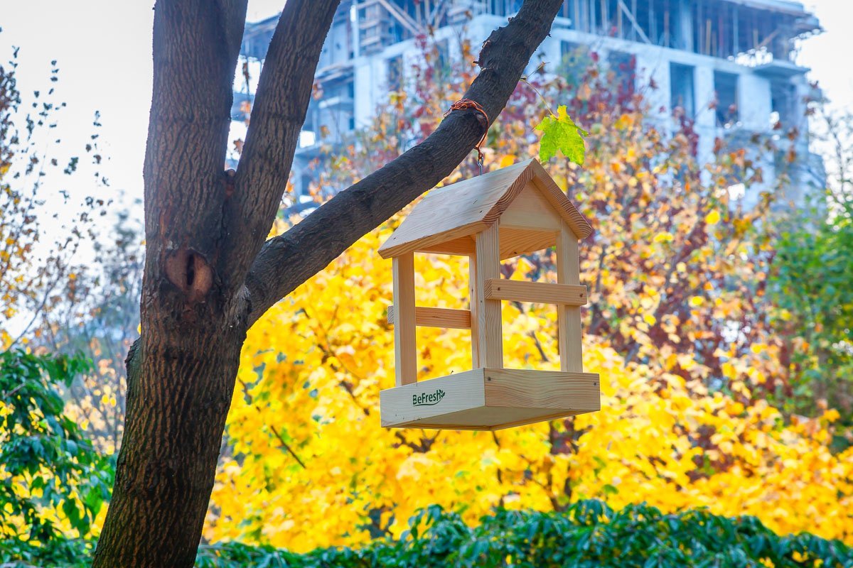 Будь свежим Будь свежим