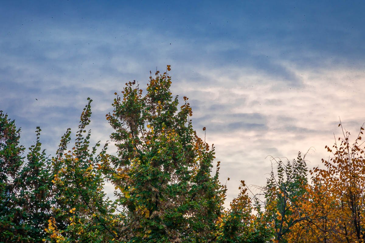 Солнышко, выходи Солнышко, выходи