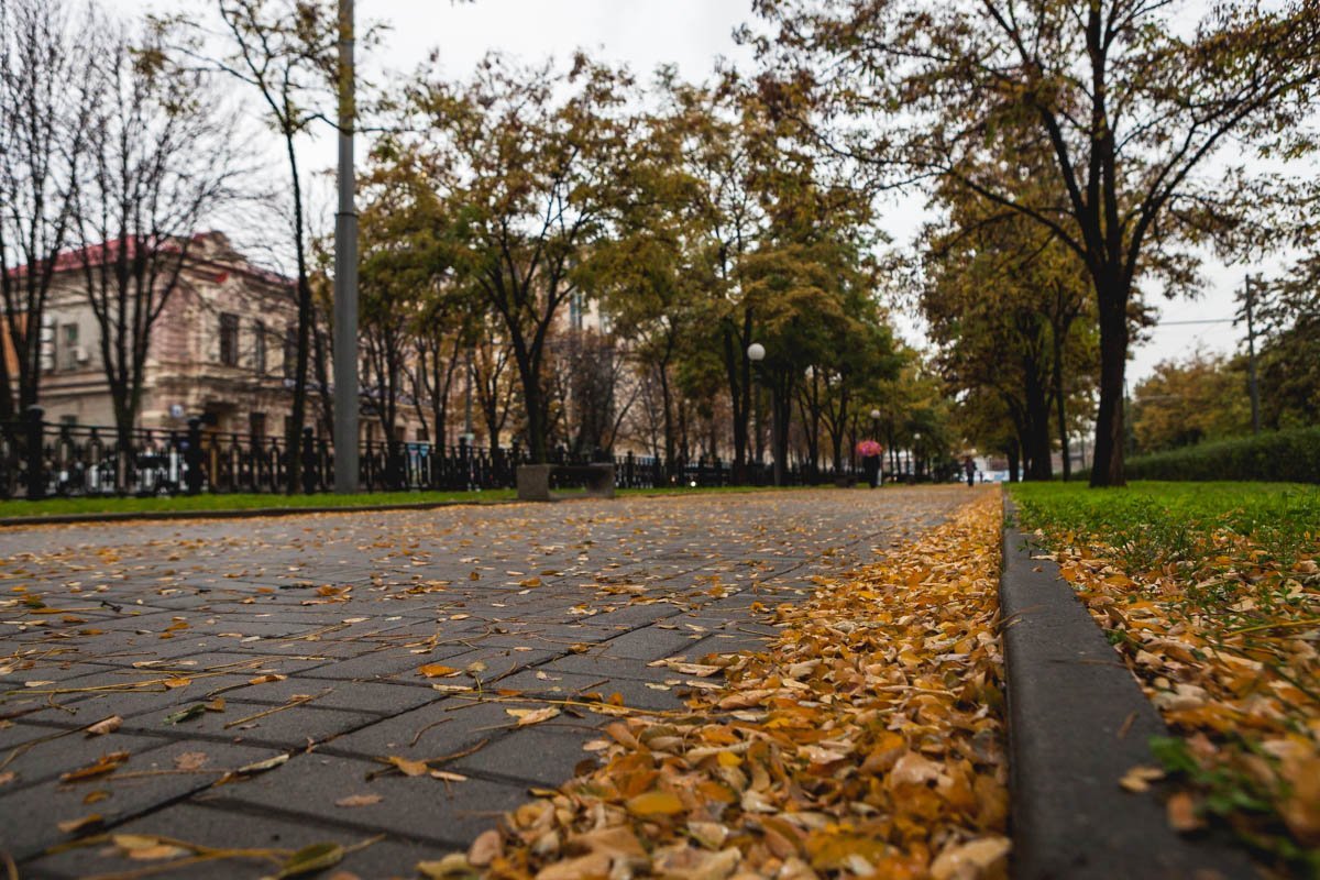 Дороги города устилает шуршащий желтый ковер Дороги города устилает шуршащий желтый ковер