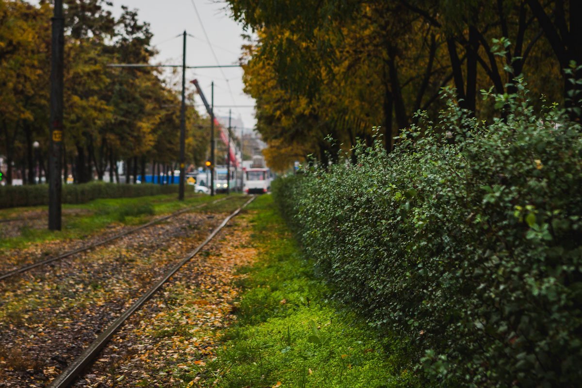 Осень разукрасила город по-своему Осень разукрасила город по-своему