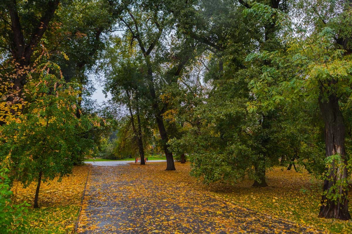 Эта осень особенно прекрасна Эта осень особенно прекрасна