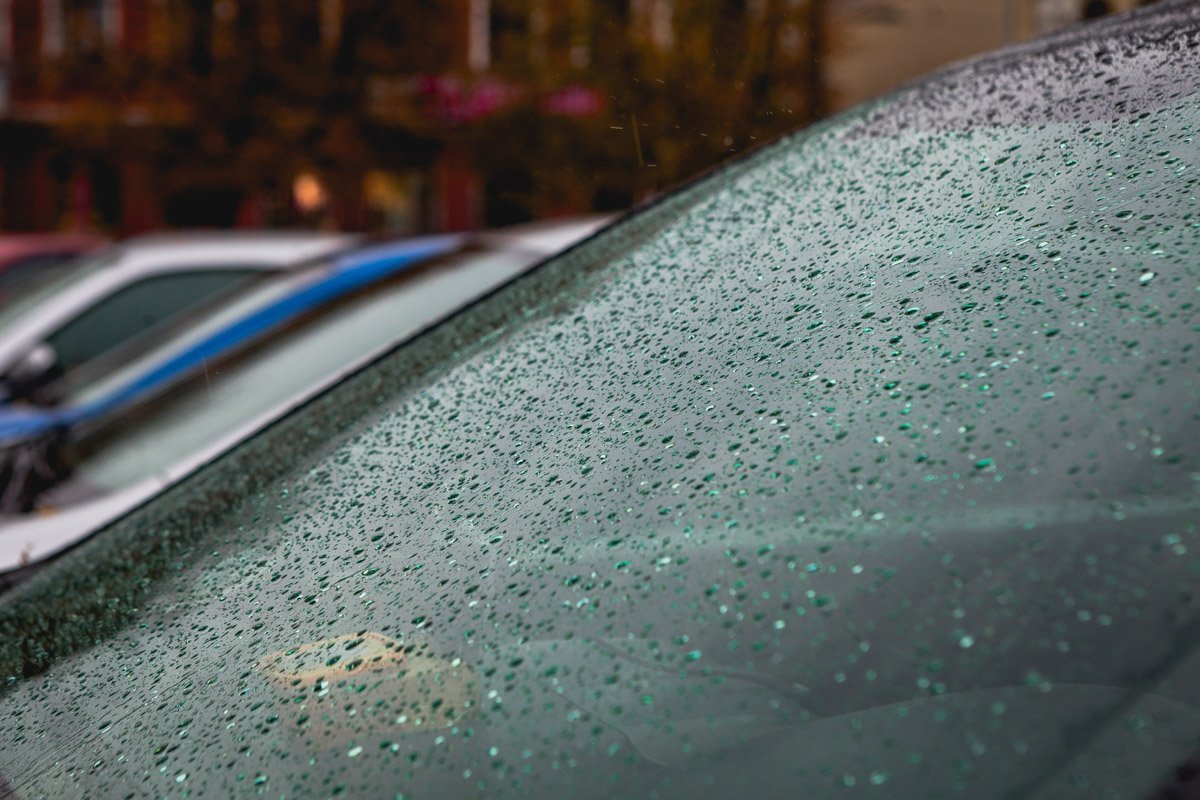 Фото: Денис Карпенко Фото: Денис Карпенко