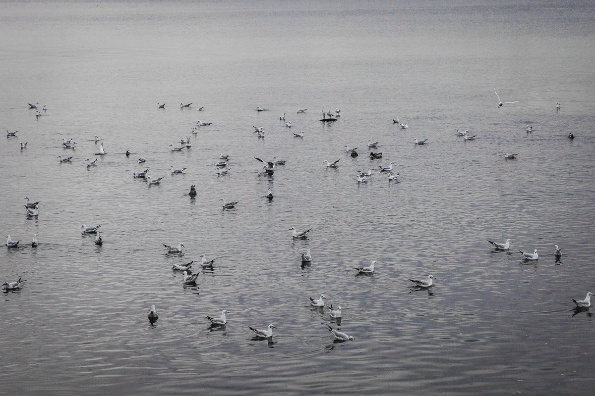 Осенний Днепр: как выглядит город во время дождя 10