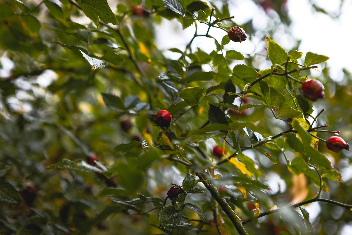 Умытый дождем Днепр поражает контрастами Умытый дождем Днепр поражает контрастами