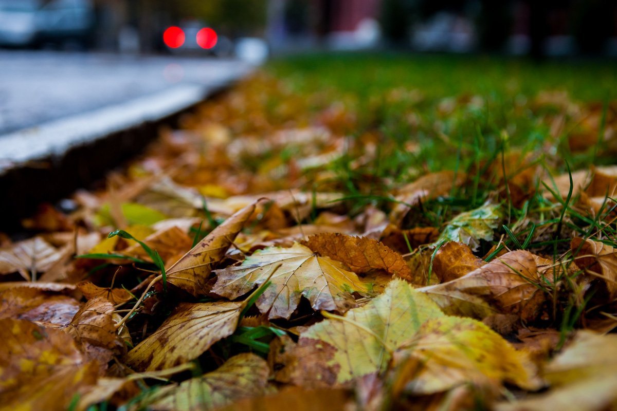 Фото Дениса Карпенко Фото Дениса Карпенко