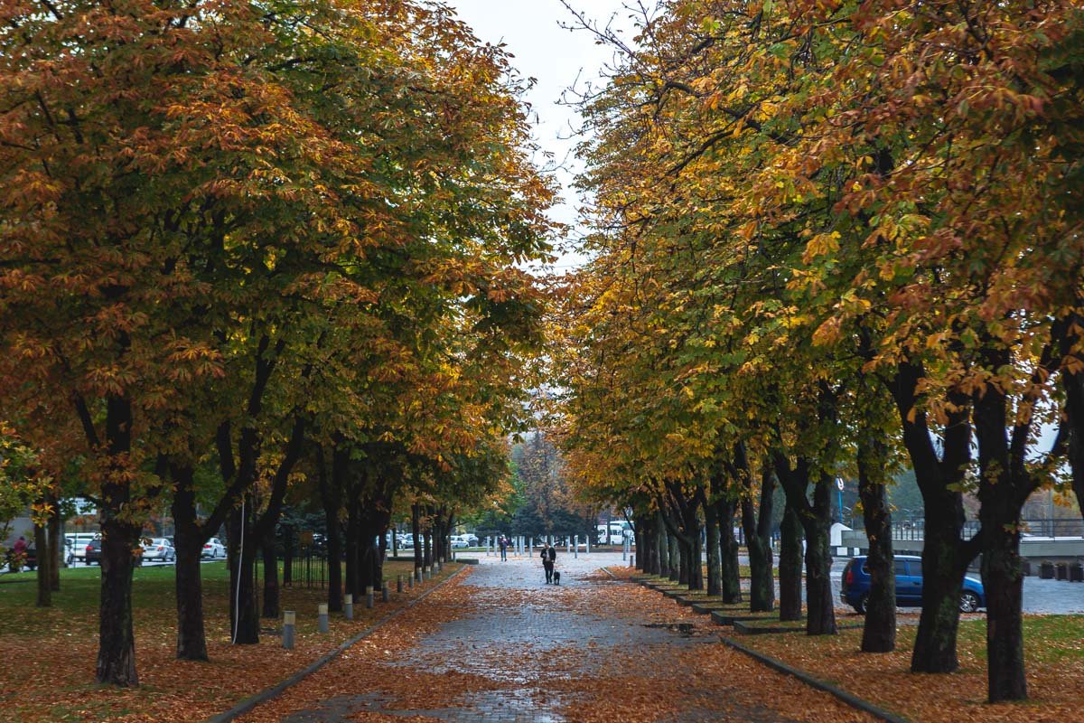 Фото Дениса Карпенко Фото Дениса Карпенко