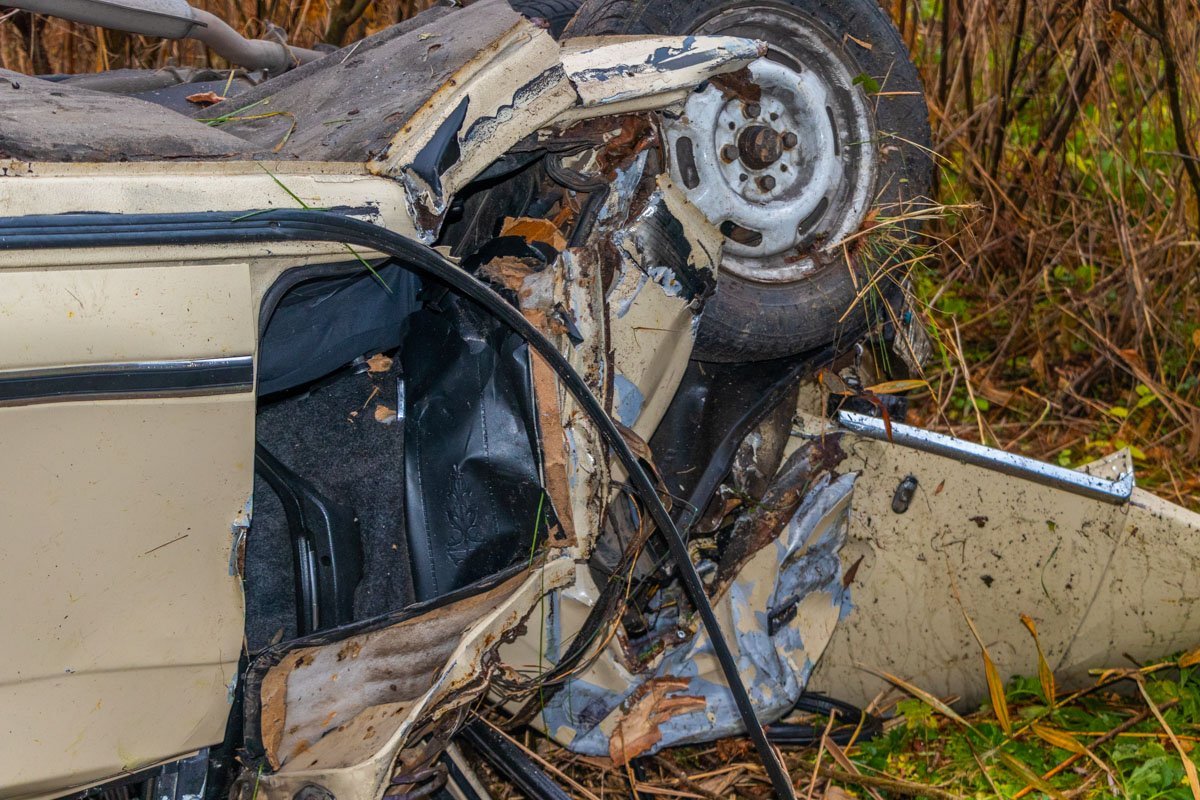 Фото: Дмитрий Федоров