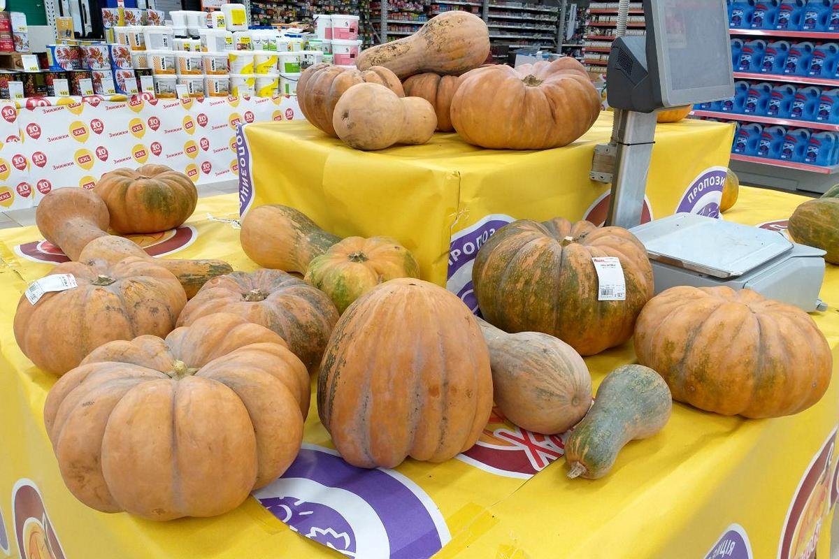 Заготавливайте тыковки заранее Заготавливайте тыковки заранее