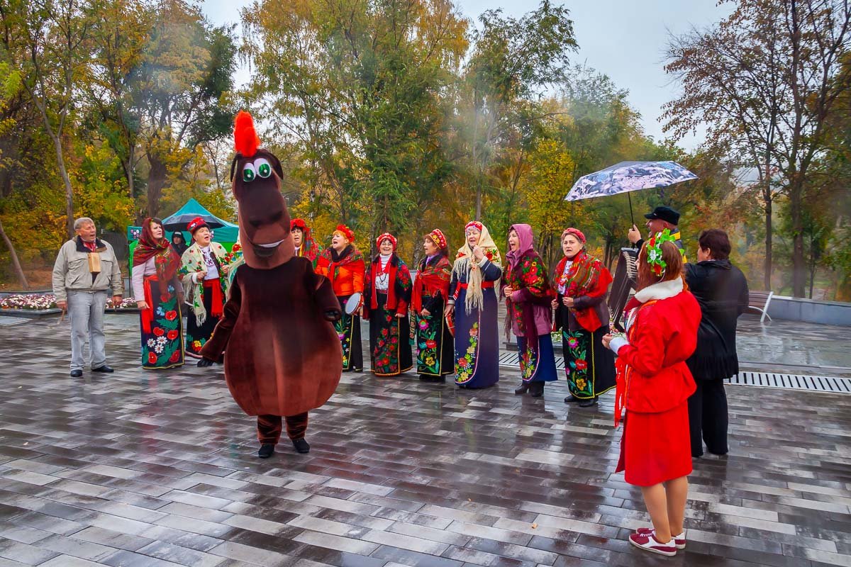 Очень активный с красной гривой