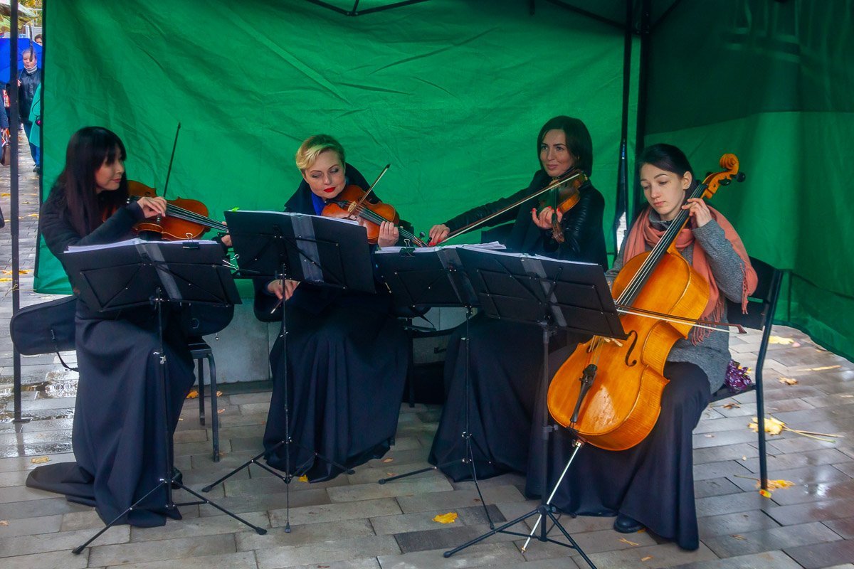 Открытие с музыкой