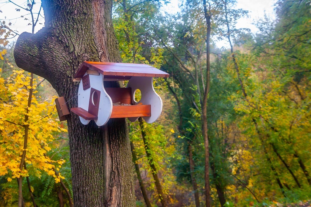 Птички тоже будут довольны