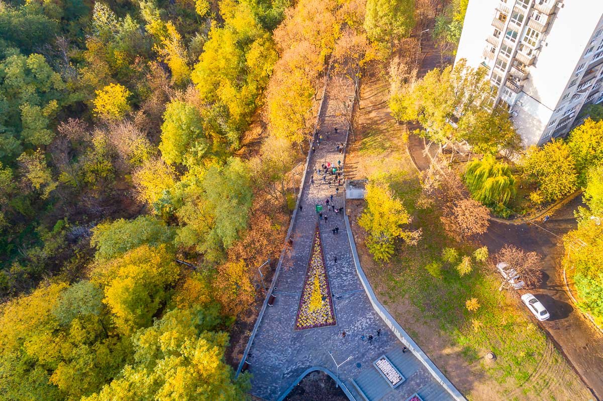 С высоты птичьего полета