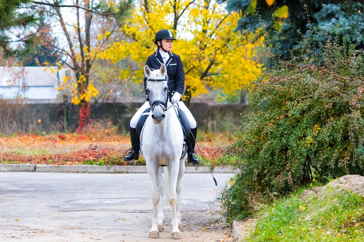 Эта спортивная школа считается одной из лучших в Украине в конном спорте, здесь учатся более 140 детей