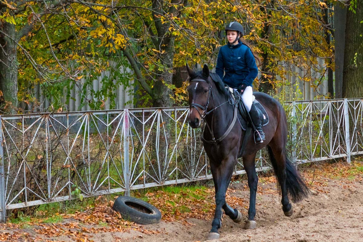 Спортсмену необходимо нести ответственность не только за себя, но и за коня