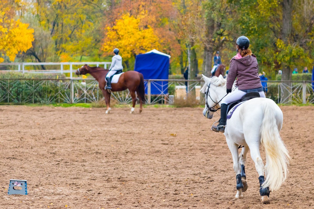 Такие соревнования проводятся с целью популяризации конного спорта, улучшения учебно-спортивной работы организаций