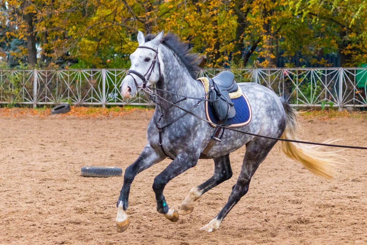 Соревнования проводились на полях с песочным покрытием
