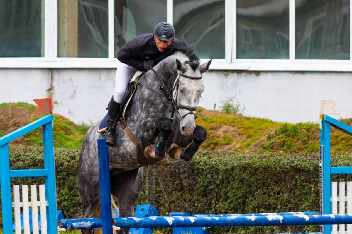 Соревнования по конкуру проводились на манеже по специальным программам, которые участники выполняли наизусть