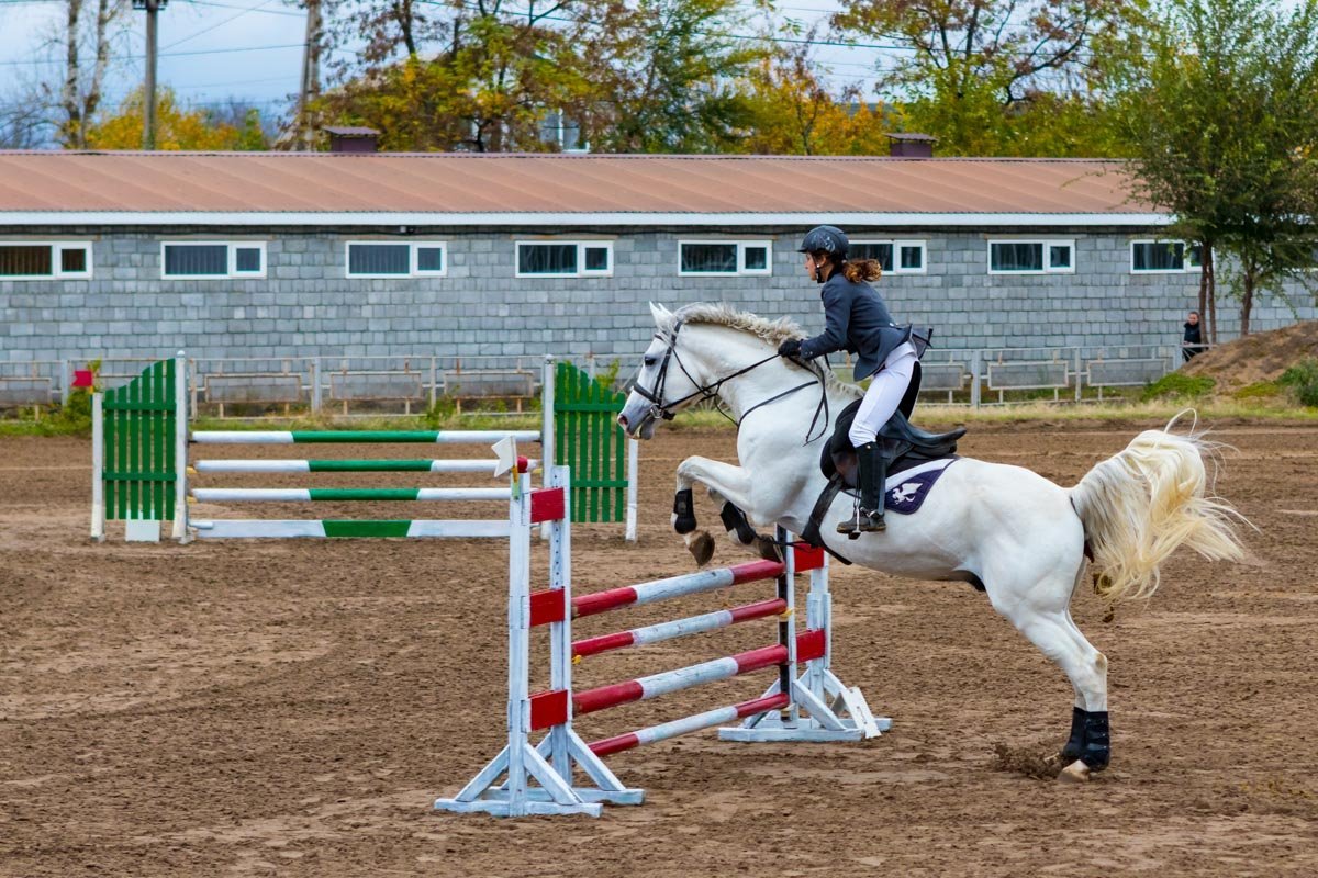 Удивительное зрелище