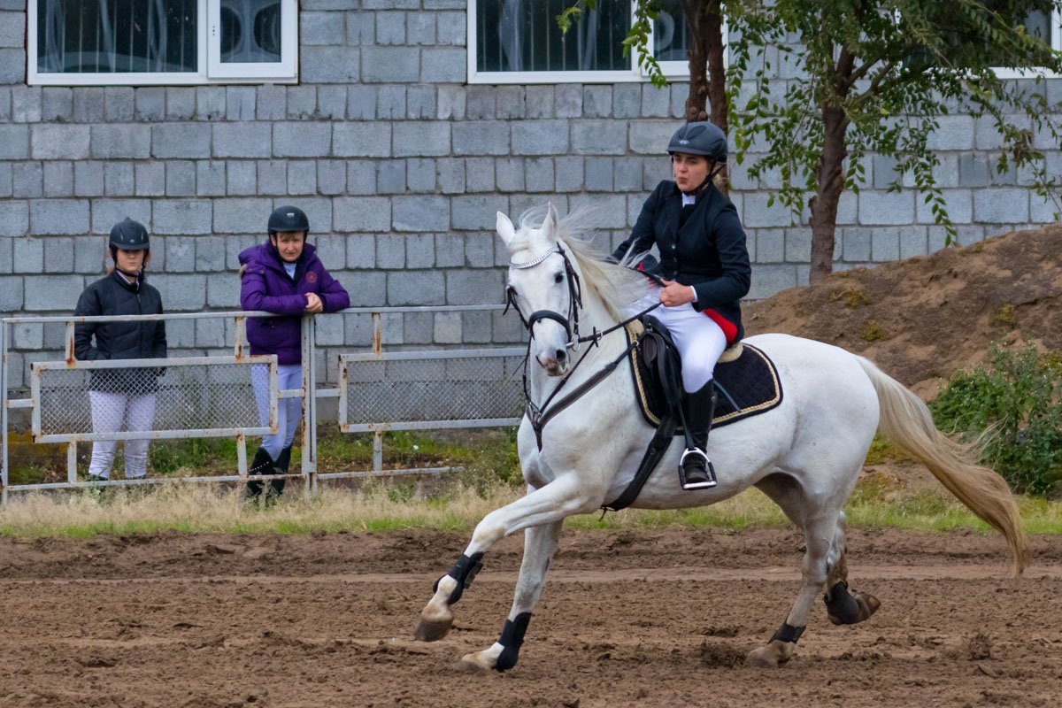 Лошади прекрасны