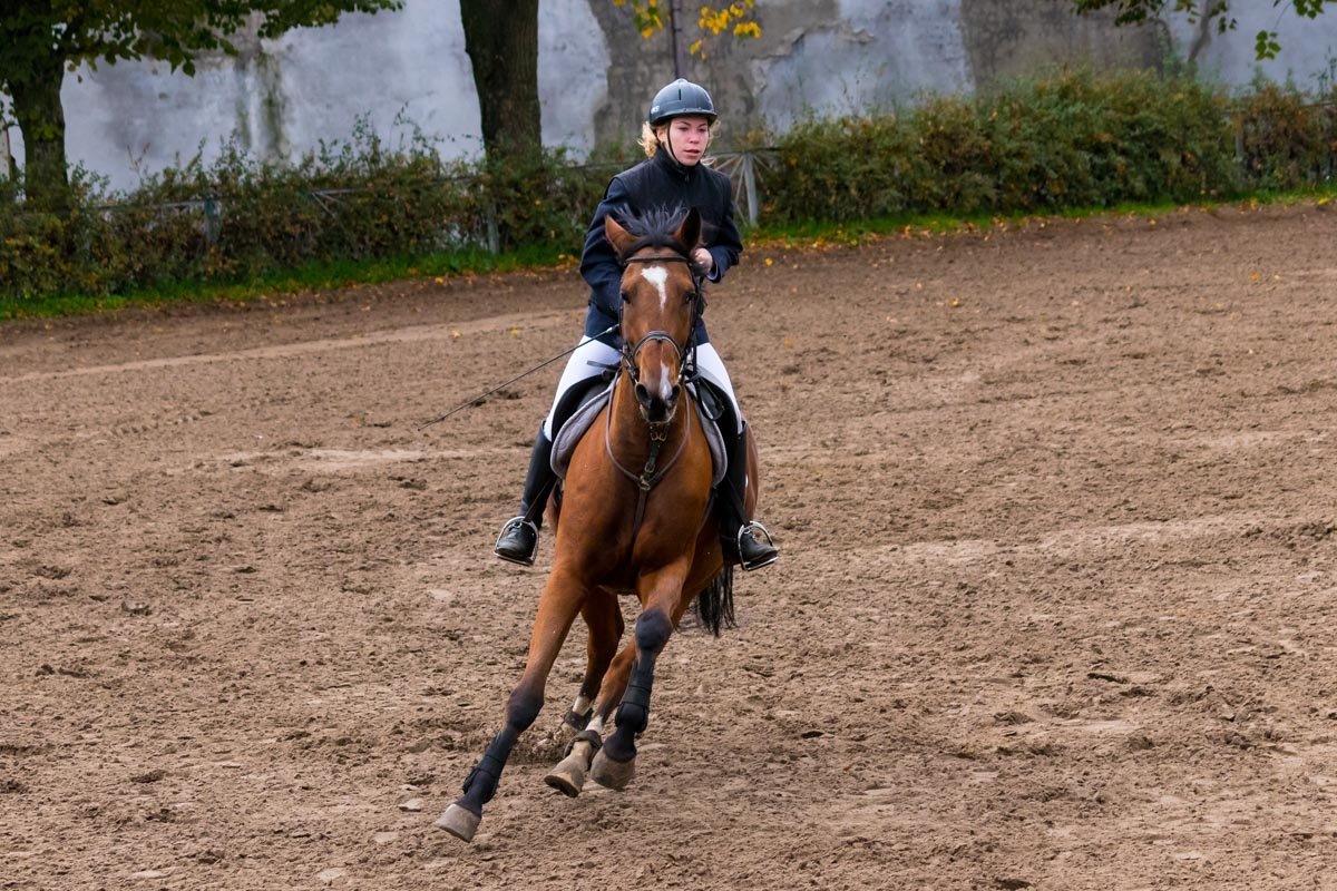 Мог посетить любой желающий