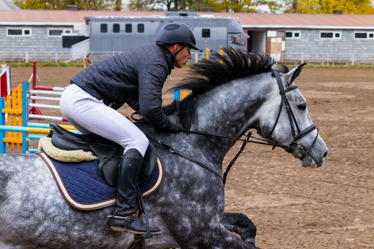 Красивые животные