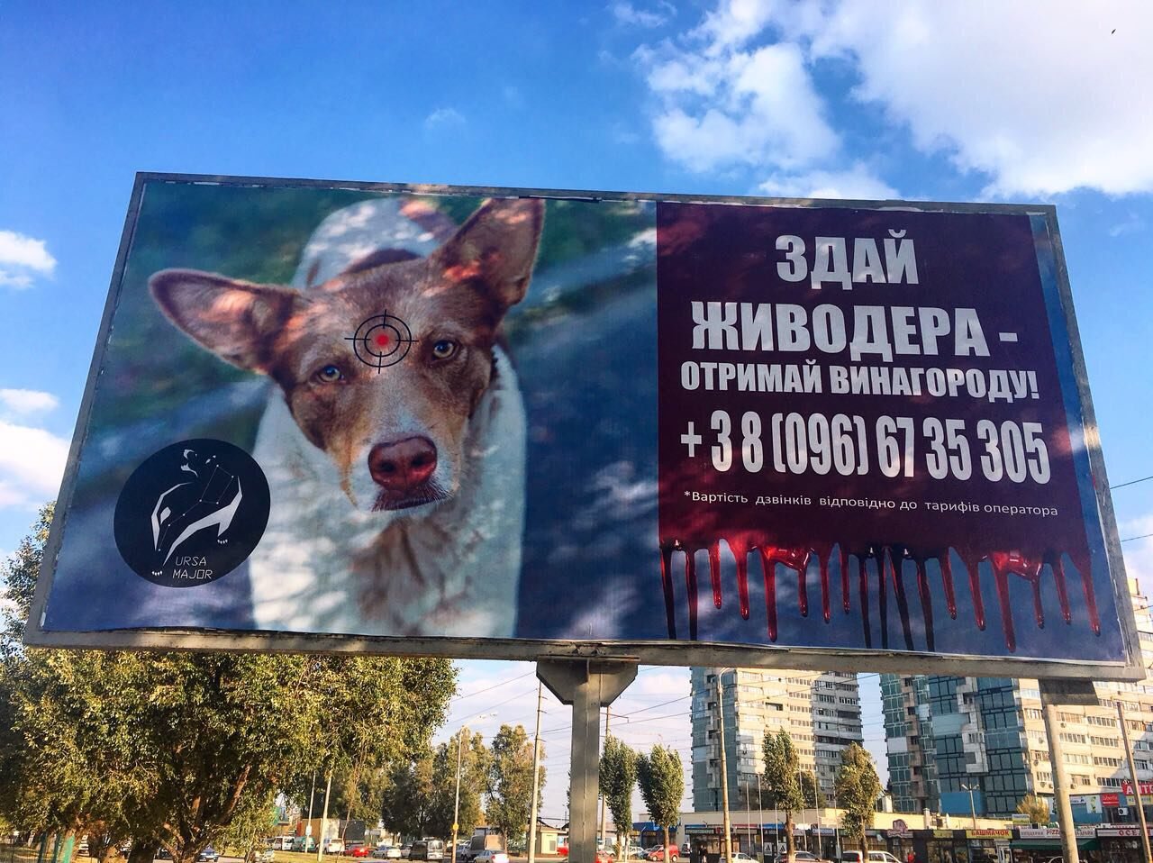 Живодерство не пройдет Живодерство не пройдет