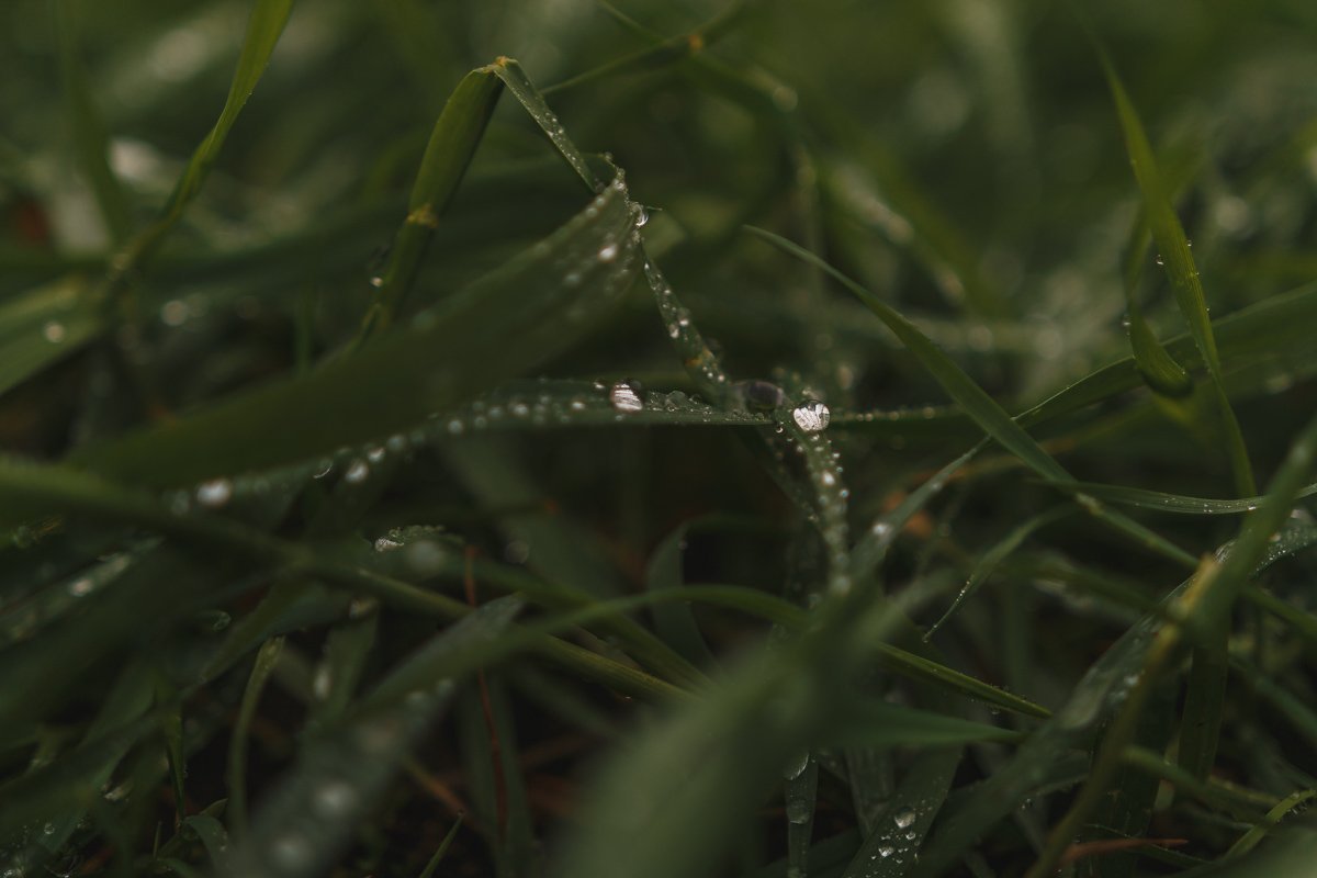 Я понимаю, что вокруг Моментов радужных немало, Но придавило сердце вдруг – В капкан тоски оно попало.