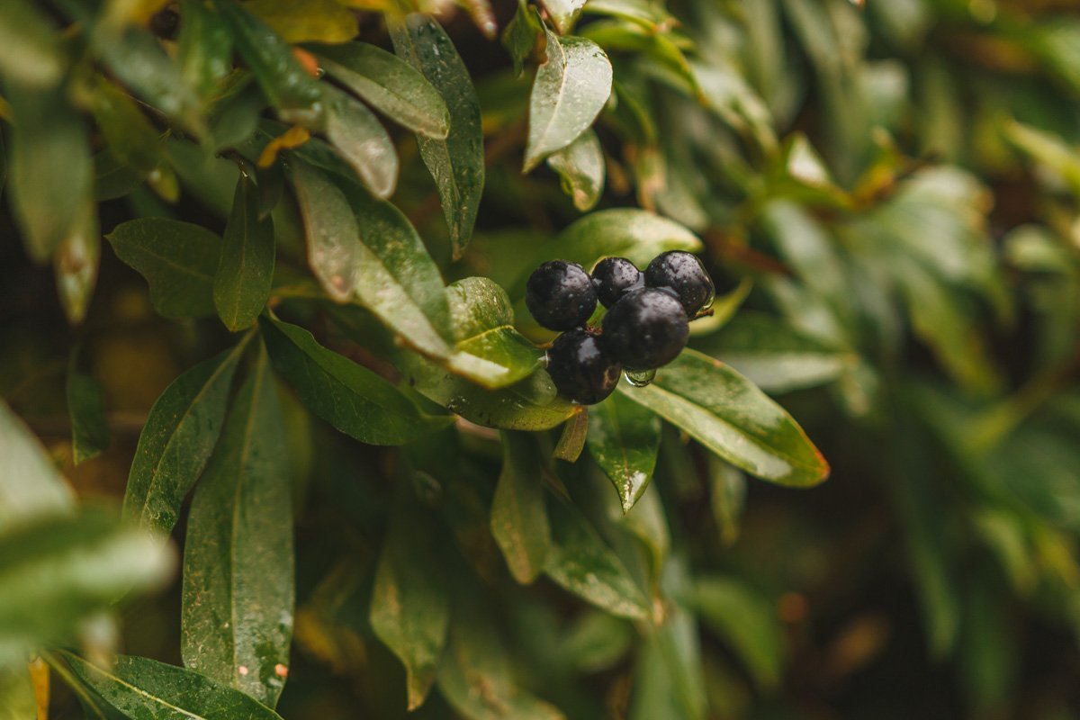 Не делайте из сердца рудимент. Храните в нём всё самое родное. И берегите каждый компонент, Пока оно действительно живое.