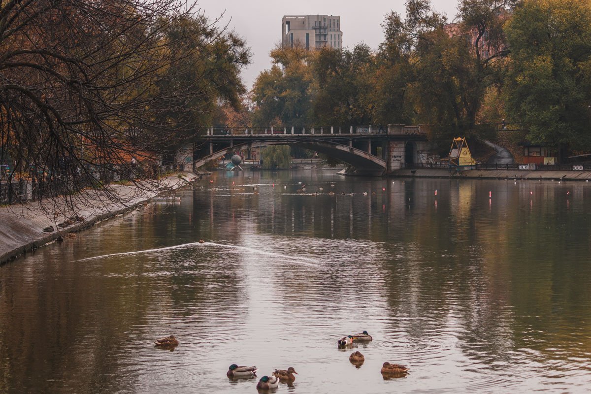 Разве нужно для счастья много? Мне вот кажется, что чуть-чуть. Каждый сам выбирает дорогу, Чтоб на встречу ему шагнуть.
