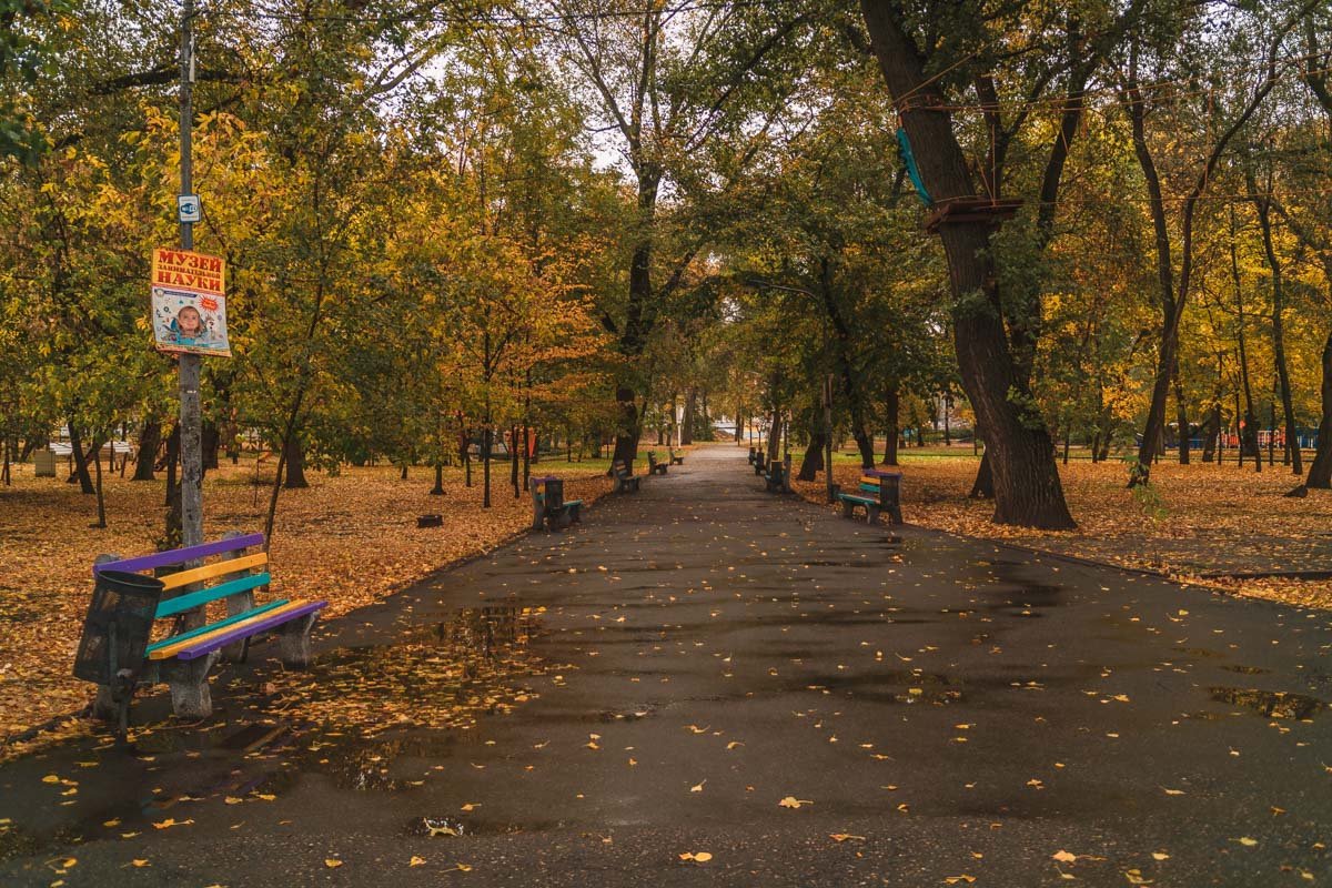 Октябрь — месяц грусти и простуд, а воробьи — пролетарьят пернатых — захватывают в брошенных пенатах скворечники, как Смольный институт. И воронье, конечно, тут как тут.